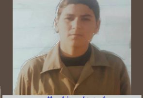 بی سیم چی لشکر ۲۷ شهید علی رضا مولایی
