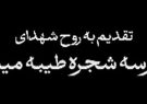 بغض بی پایان، تقدیم به روح شهدای مدرسه شجره طیبه میناب