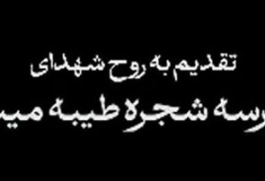 بغض بی پایان، تقدیم به روح شهدای مدرسه شجره طیبه میناب