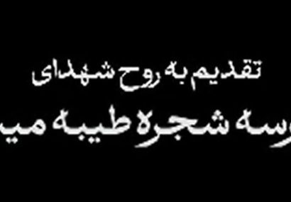 بغض بی پایان، تقدیم به روح شهدای مدرسه شجره طیبه میناب