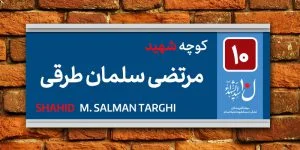 الگوی نوجوانی شهید مرتضی سلمان طرقی