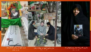 در رثای مادر شهید مدافع حرم، شهید هادی ذوالفقاری
