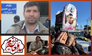 پرستوی مهاجر دیگری باز آمد !