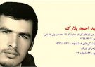 زندگی نامه شهید سید احمد پلارک