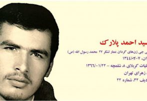 زندگی نامه شهید سید احمد پلارک