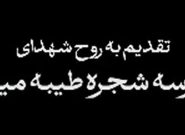 بغض بی پایان، تقدیم به روح شهدای مدرسه شجره طیبه میناب